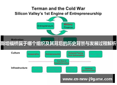 斯坦福桥属于哪个组织及其背后的历史背景与发展过程解析
