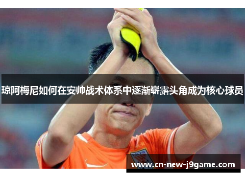 琼阿梅尼如何在安帅战术体系中逐渐崭露头角成为核心球员