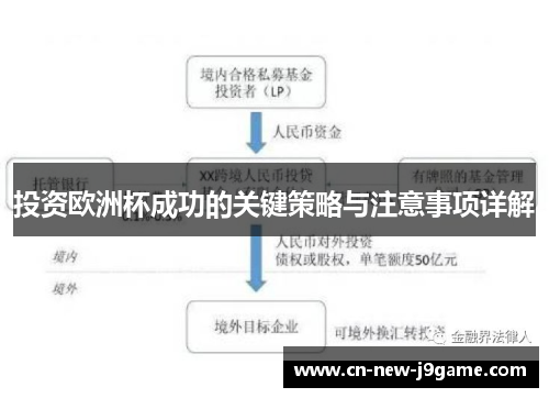 投资欧洲杯成功的关键策略与注意事项详解